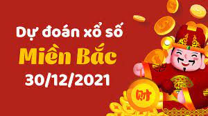 Dự đoán số đặc biệt hôm nay 30-12-2024